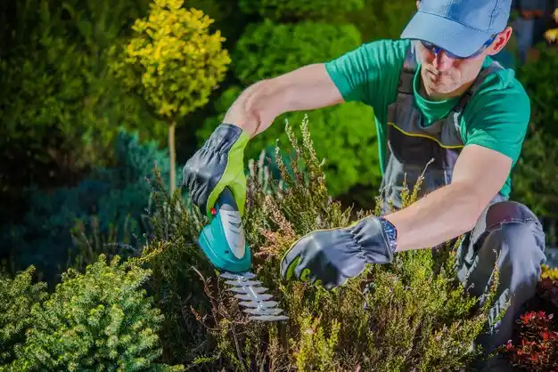 landscaping services East Kingston